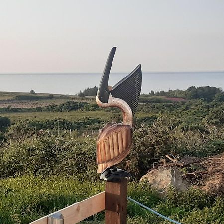 A Piece Of Oceanfront Heaven Holiday Home Sleeps 6 Drumaville Eksteriør bilde